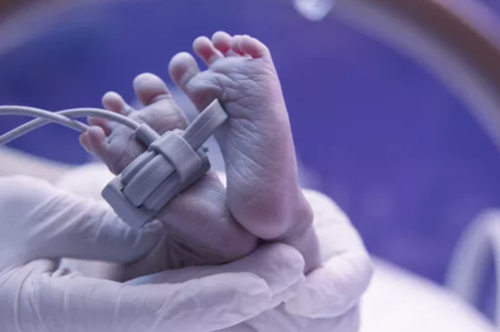 Eutanasia. Pro Vita & Famiglia: «In Belgio il 10% dei neonati uccisi. Vogliamo questo anche in Italia?» 1